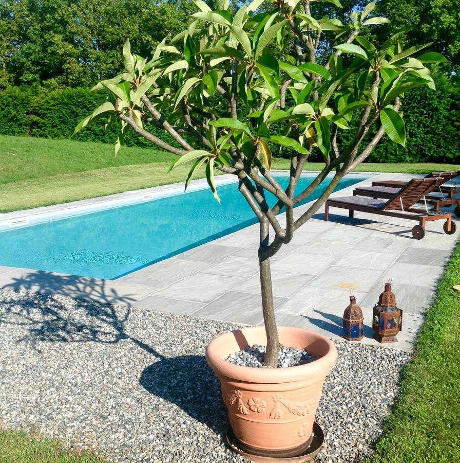 Alla Gazza Ladra Bed and Breakfast Prato Sesia Δωμάτιο φωτογραφία